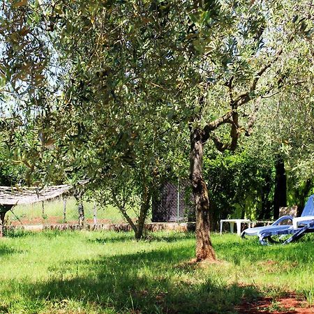 Oliven Garden Villa Rovinj Luaran gambar
