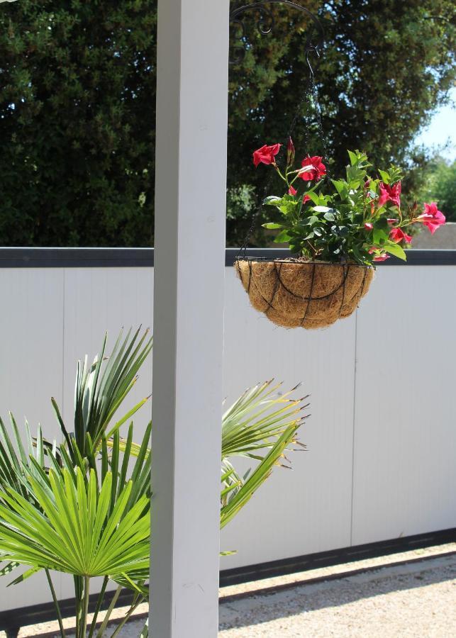 Oliven Garden Villa Rovinj Luaran gambar