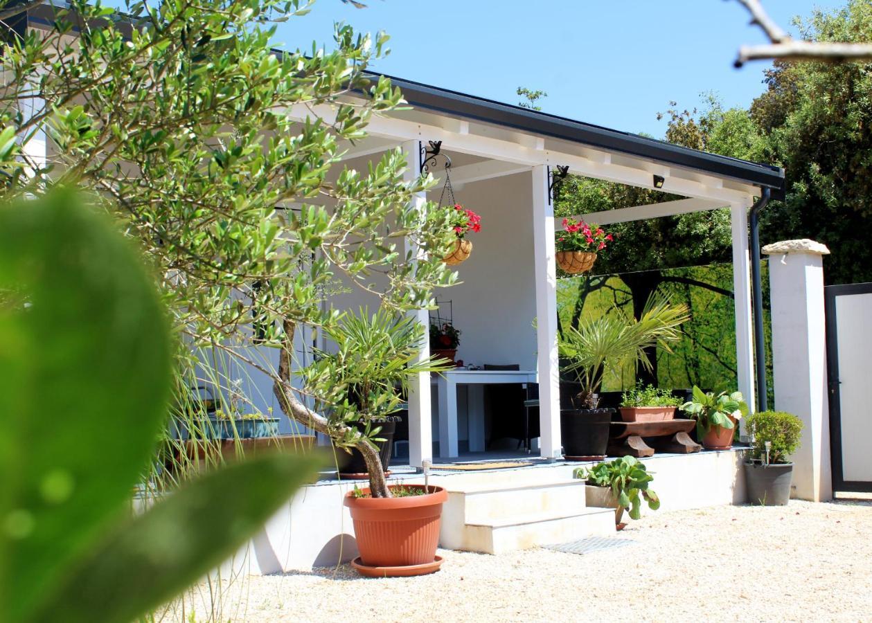 Oliven Garden Villa Rovinj Luaran gambar