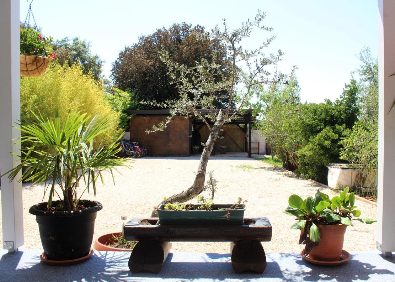 Oliven Garden Villa Rovinj Luaran gambar
