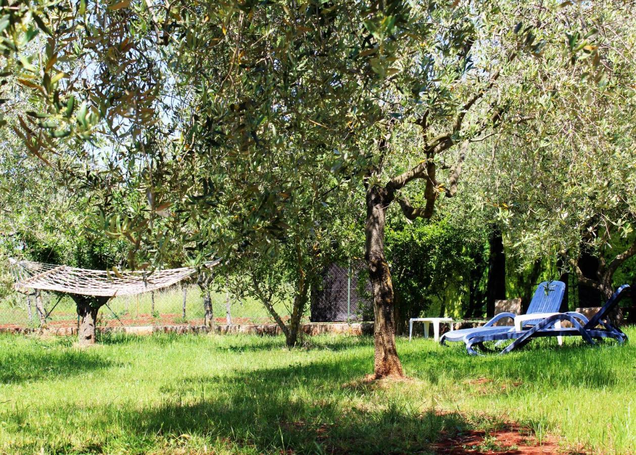 Oliven Garden Villa Rovinj Luaran gambar