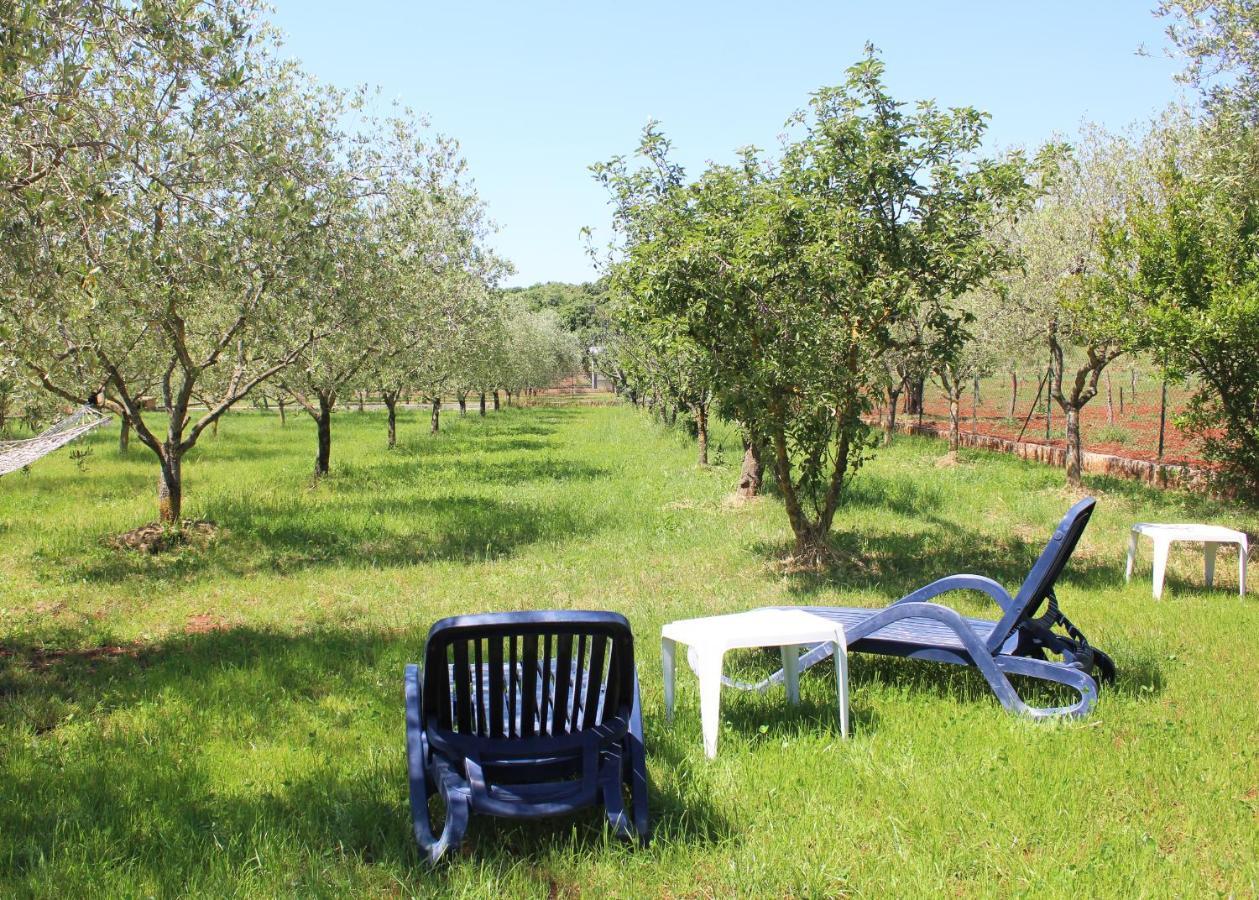 Oliven Garden Villa Rovinj Luaran gambar